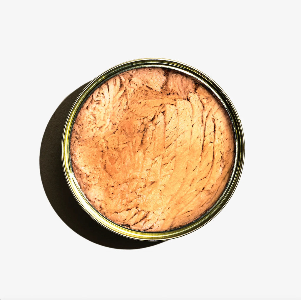 Open can of tuna on a white background