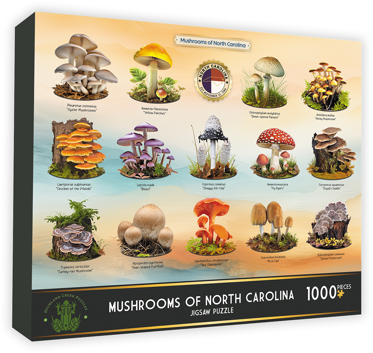 Mushrooms of North Carolina, 1000pc – Indio Mushrooms of North Carolina, 1000pc – Indio