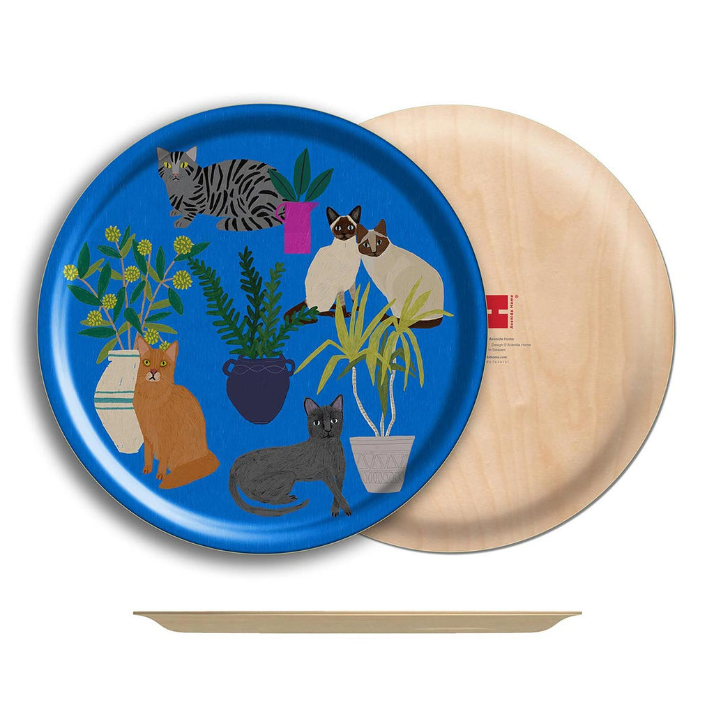 round birch serving tray, cats and plants on bright blue background