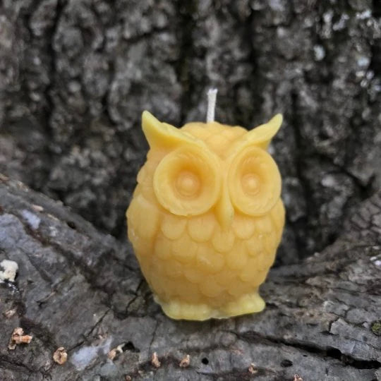 100% natural beeswax, made in NC, beeswax candle, owl