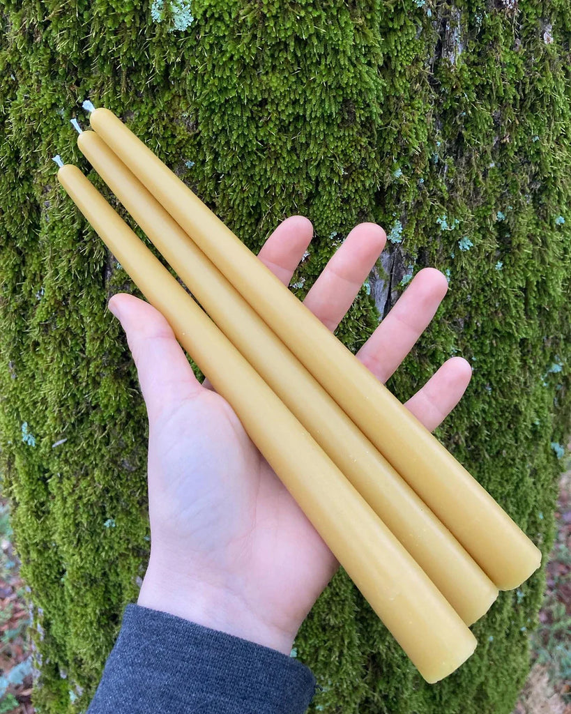 100% natural beeswax, made in NC, beeswax taper candle, 10"